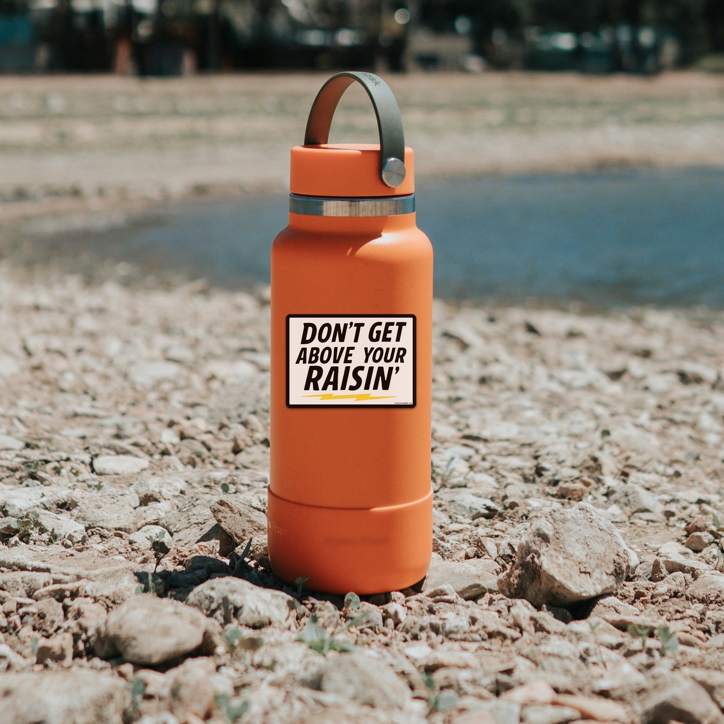 Don't Get Above Your Raisin' - Good Southerner